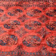 Tapis d'orient Boukhara Turkmène Afghanistan : 350 x 255 Cm