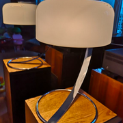Raak Amsterdam D-2125 vintage 70s design desk lamp