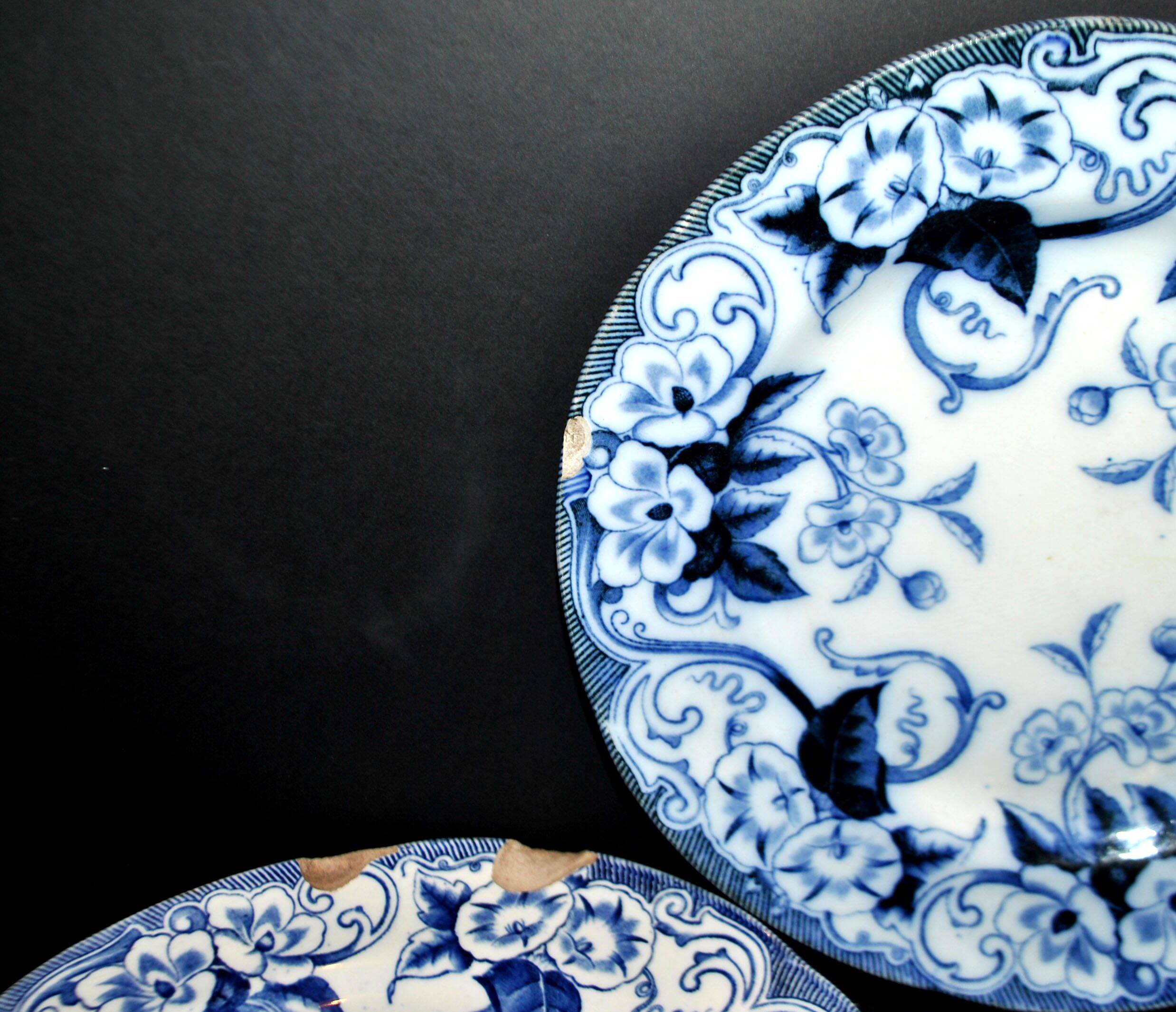 Lot de 6 assiettes Flora décor liseron bleu LM&cie 1840-1875 Creil Montereau