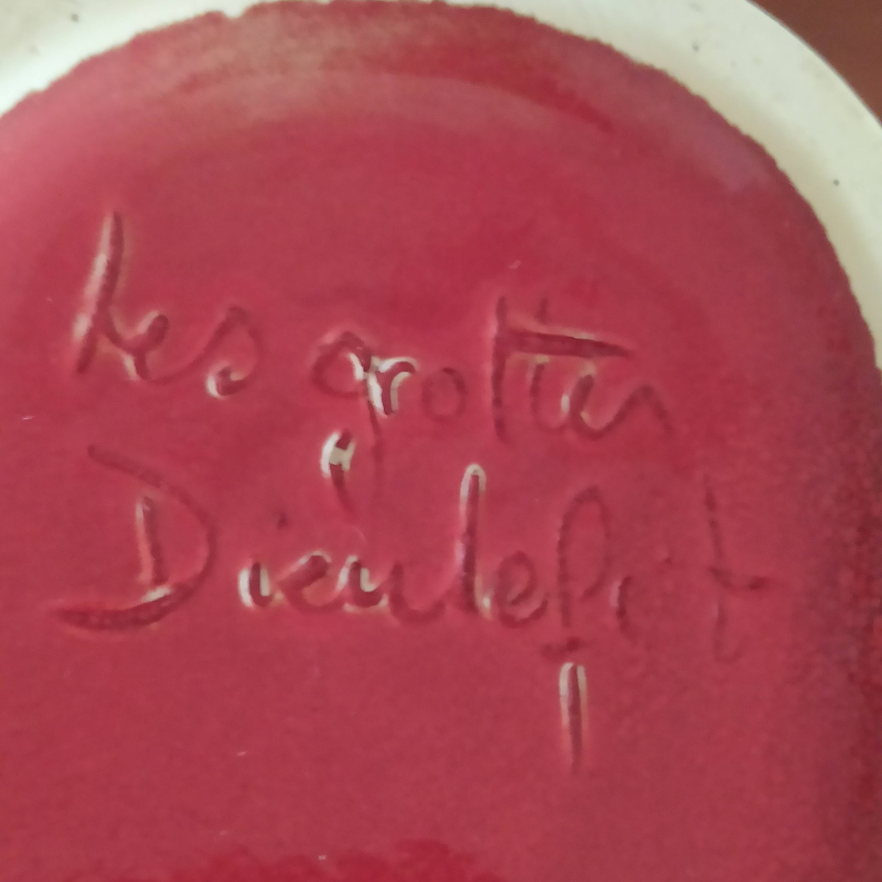 red ceramic designer vase by Les Grottes de Dieulefit