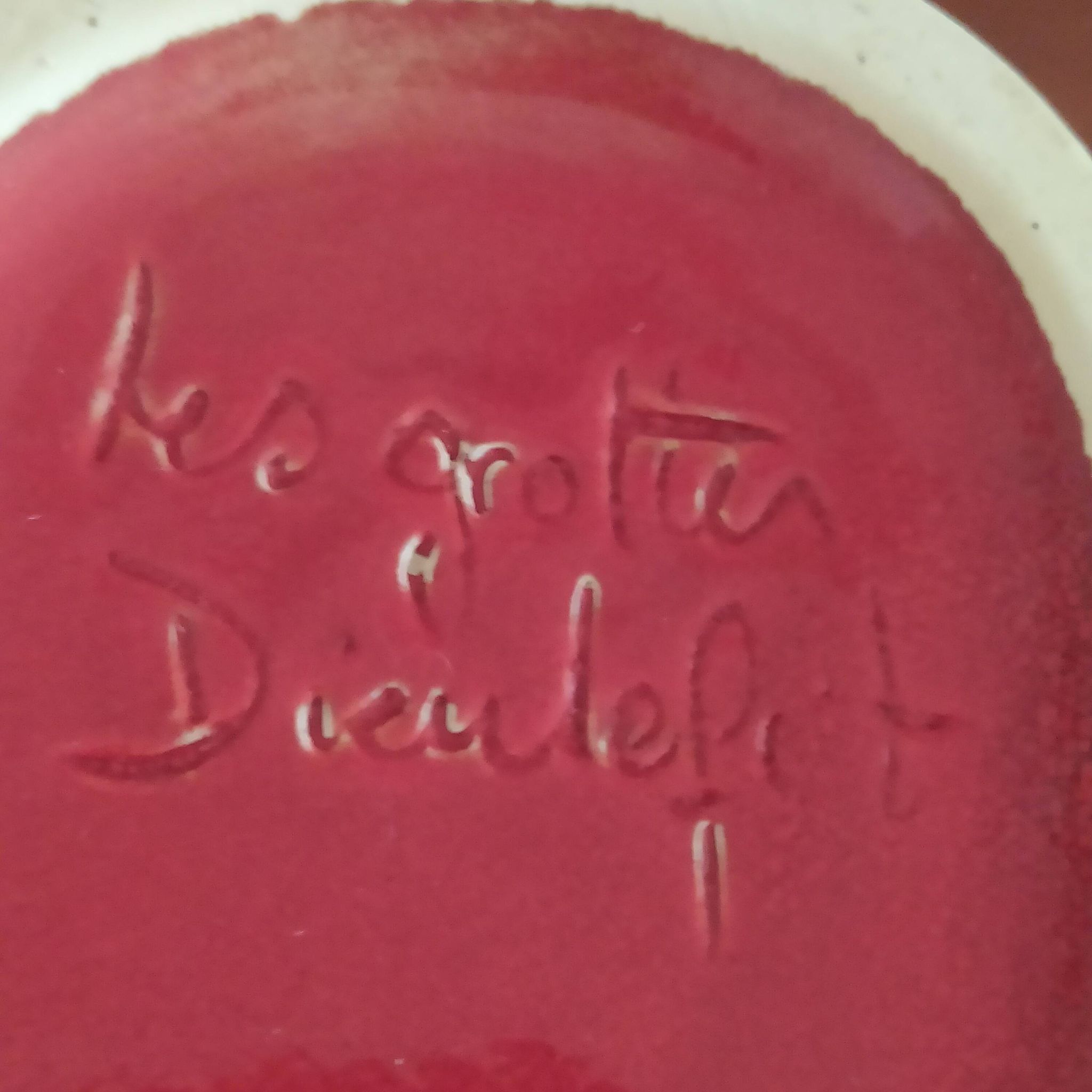 red ceramic designer vase by Les Grottes de Dieulefit