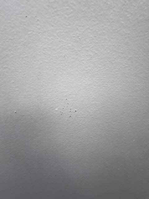 White 2-door bonnet cabinet