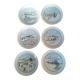Série de 6 assiettes à dessert en porcelaine - Décors naifs hyvernaux