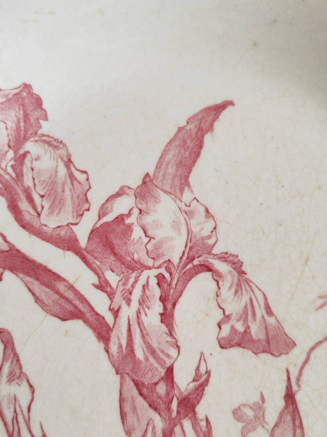 2 Iris iron earth plates