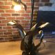 Lampadaire fleurs et plante lampe de plancher de fleur - design années 70