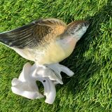 Bird numbered and signed Karl Ens, in Saxon porcelain, nineteenth century