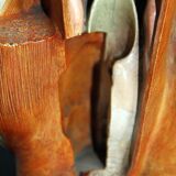 Anatomical model of human face, 30