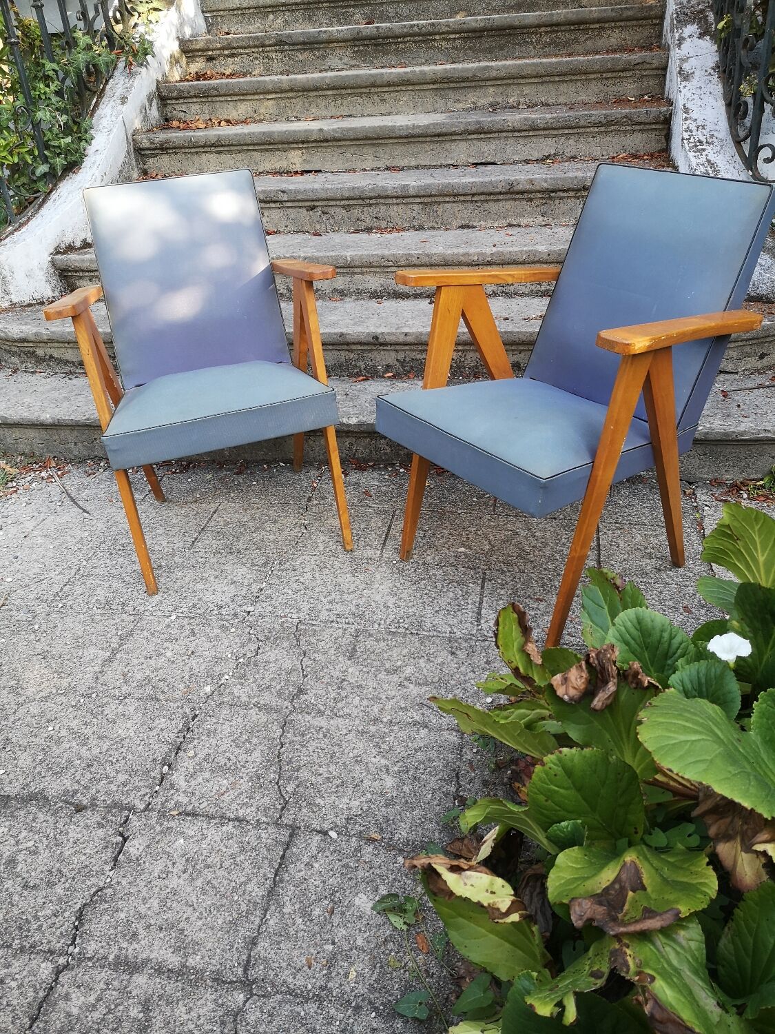 Pair of bridge armchairs with compass feet