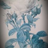 Litho rose Four seasons Lelieux