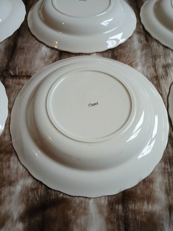 12 assiettes creuses anciennes ''Capri