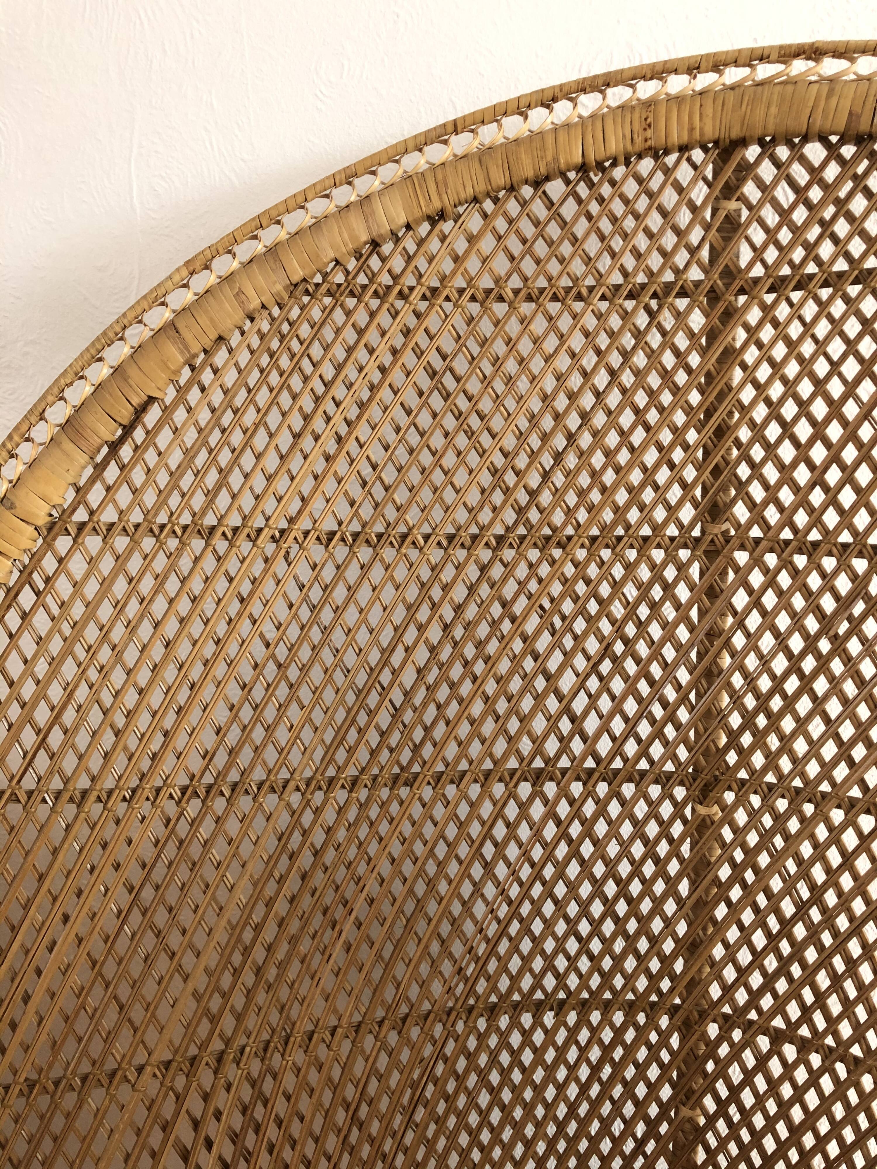 Emmanuelle chair - peacock