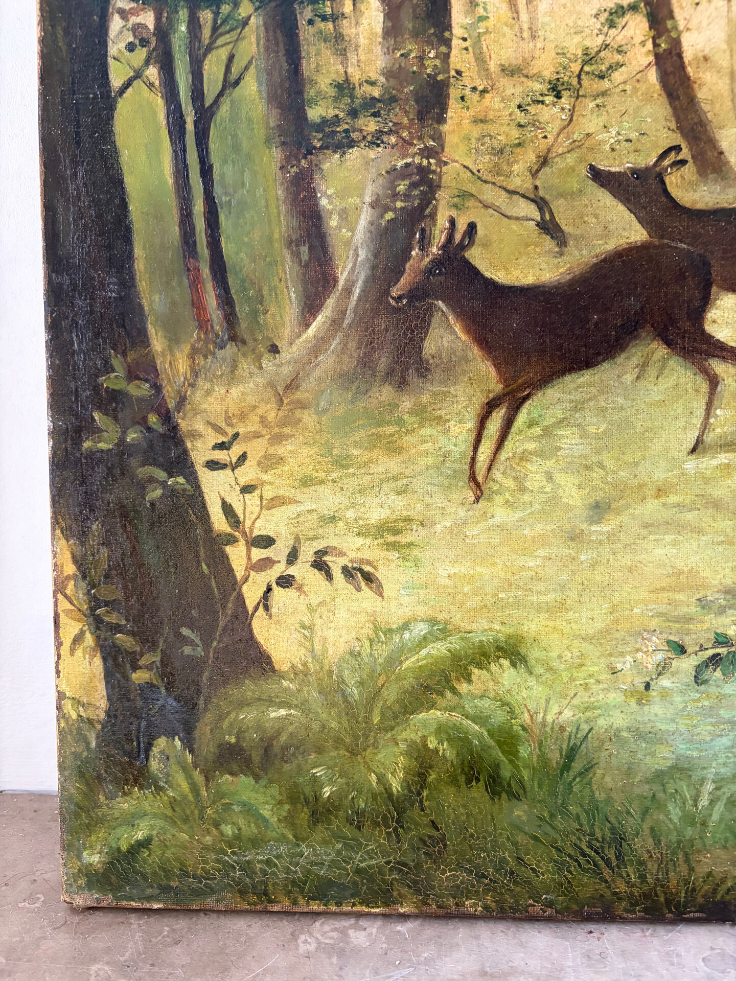 Clearing with five deer, oil on canvas signed F Hari Fourchon