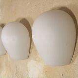 3 Wilhem Wagenfeld wall lamps, Peill & Putzler, "Muschel", 1950s