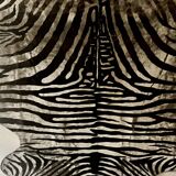 Genuine zebra print skin rug