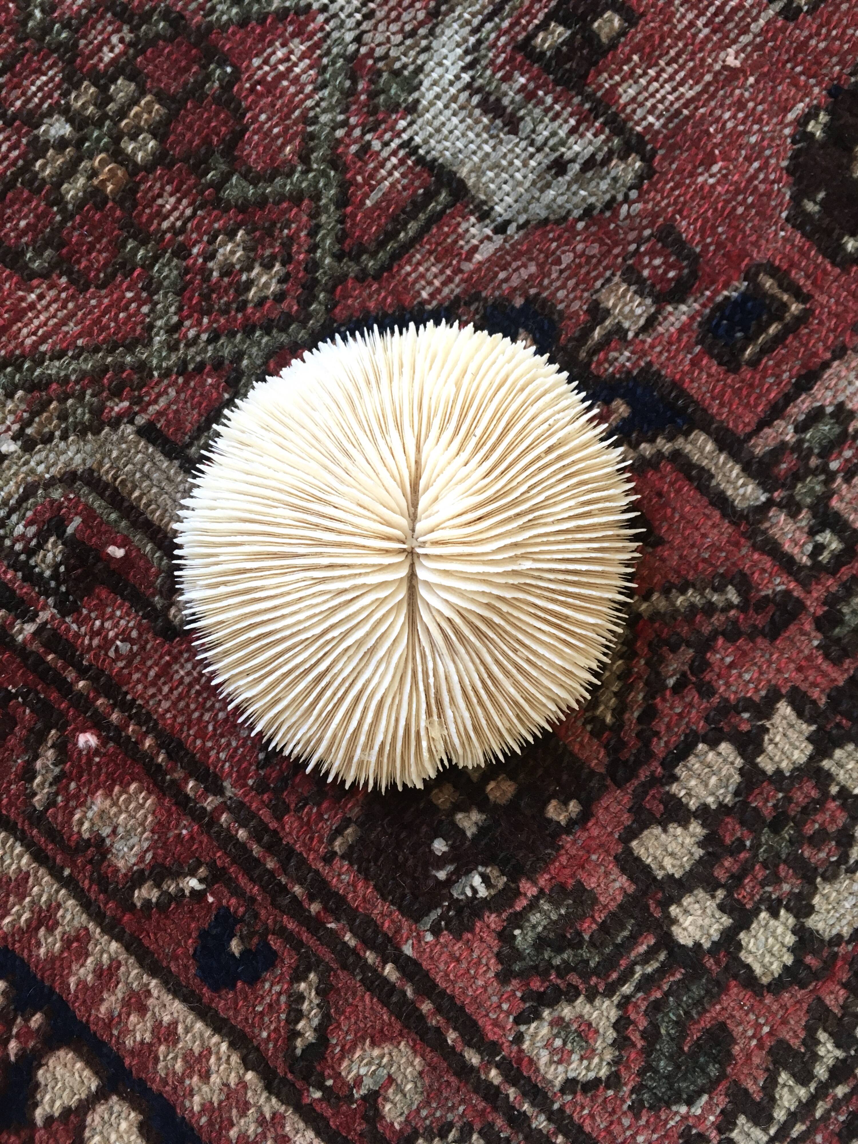 Handmade antique Persian rug 190x135cm