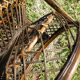 Fauteuil Emmanuelle peacock en rotin