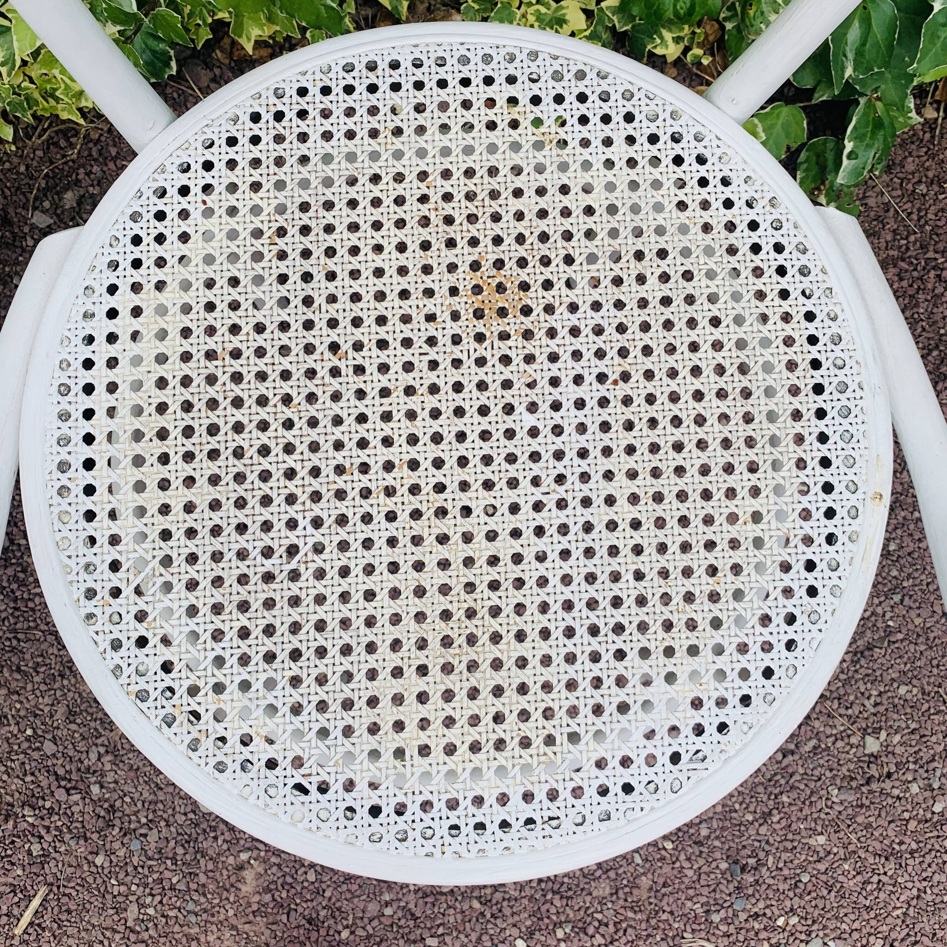 Antique pair of Italian Salvatore Leone chairs