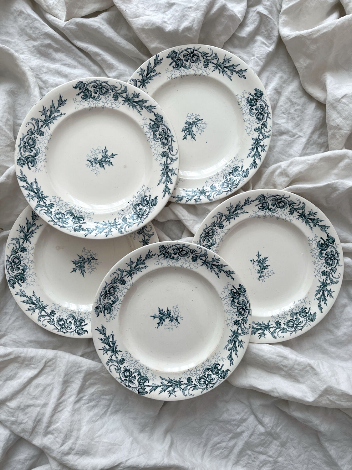 5 old flat ironstone plates “Cyrano” Longwy