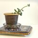 Ceramic coaster from gien france