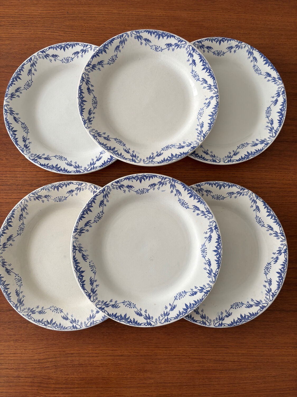 Set of 6 Creil and Montereau Labrador dinner plates – Mir model