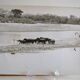 Anonymous silver photo hippopotamus africa circa 1970