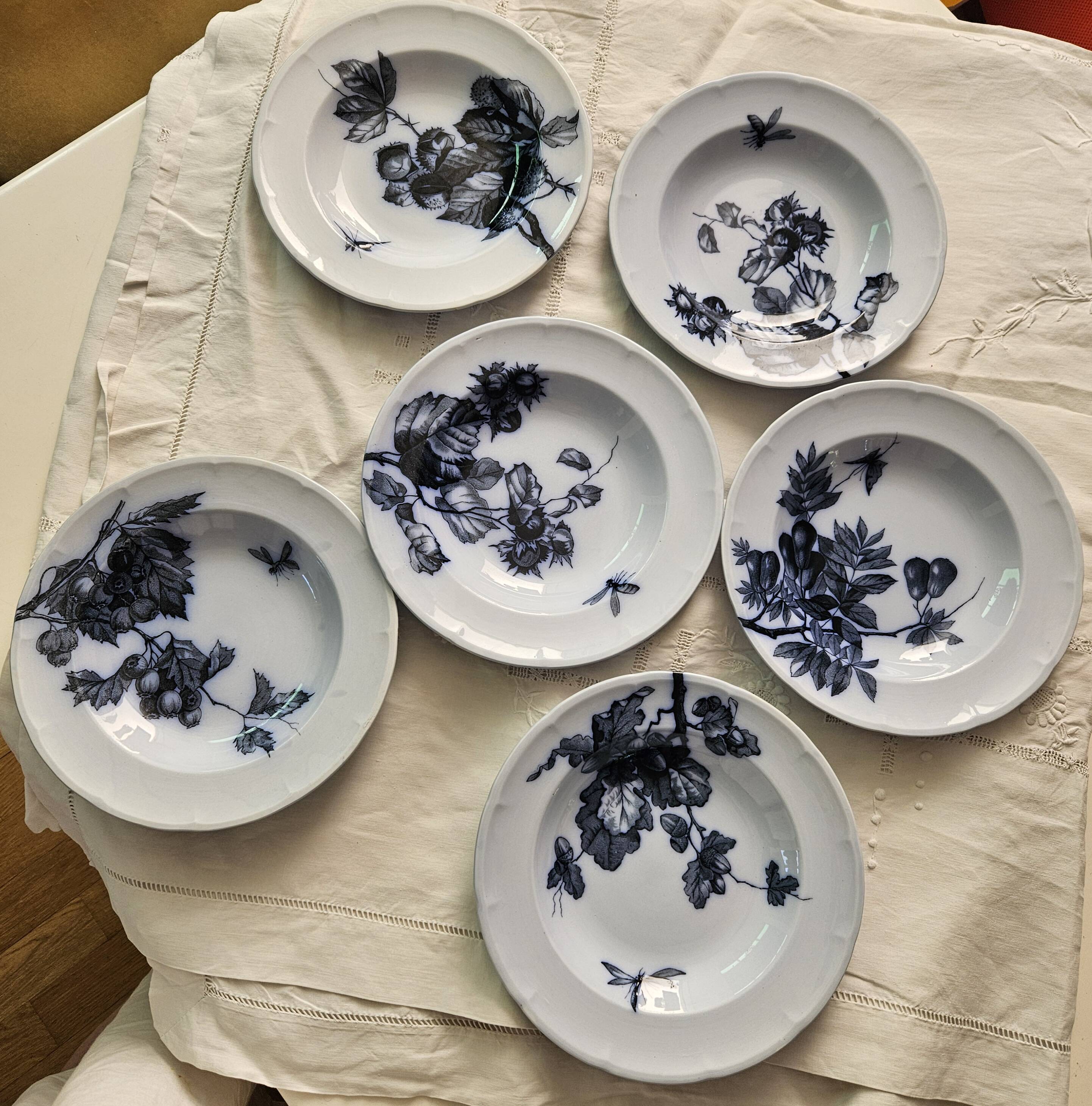 6 Longwy plates model Flowers