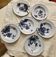 6 Longwy plates model Flowers