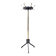 Revolving Brass and Varnished Iron Coat Rack, Italy