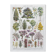 Illustration Millot "Ornamental tree gardens"