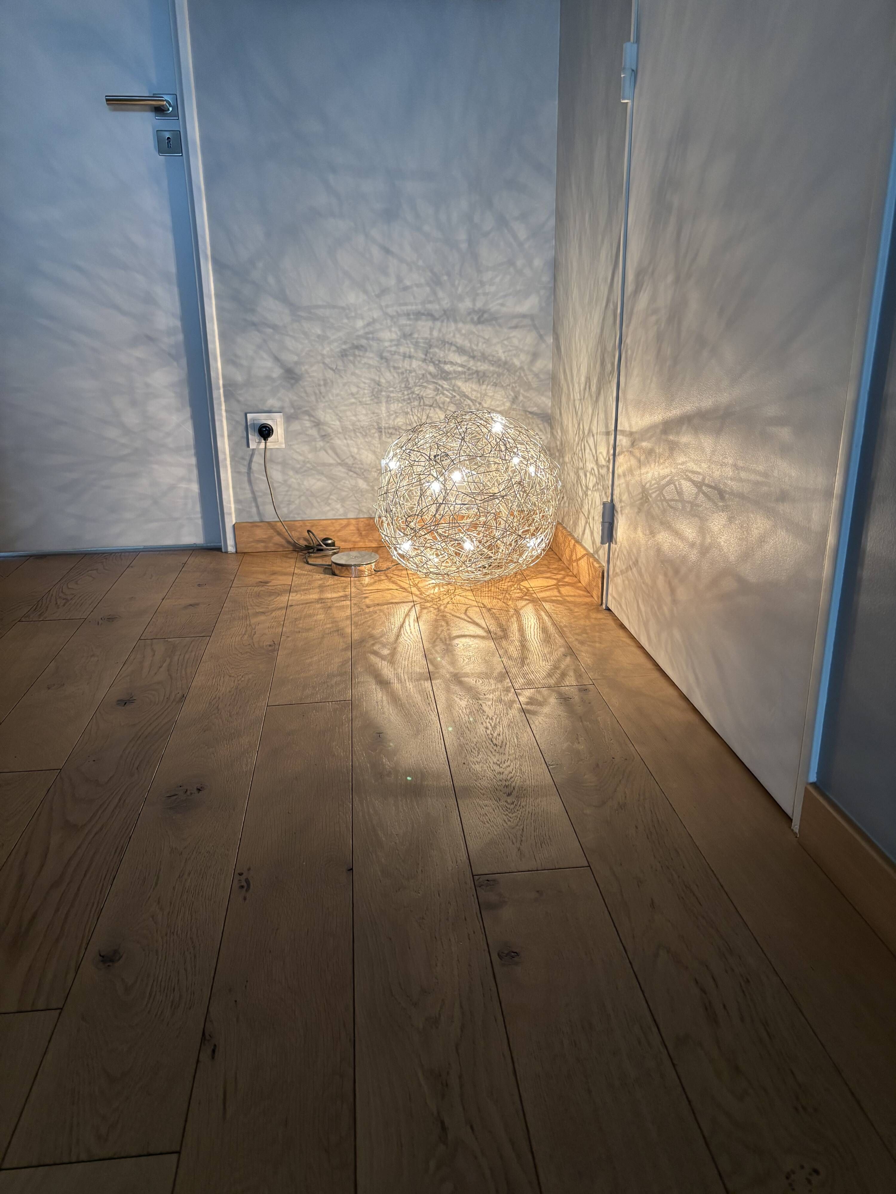 Wire Lamp Terra by Catellani & Smith in silver, diameter 50.