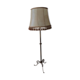 Floor lamp with its lampshade
