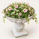 Pedestal planter in patinated stone – large garden bowl