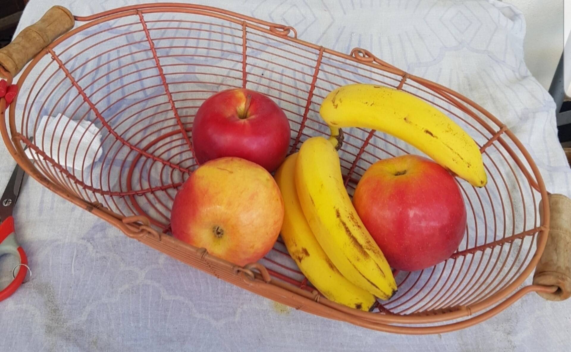 Basket of fruits and vegetables, vintage