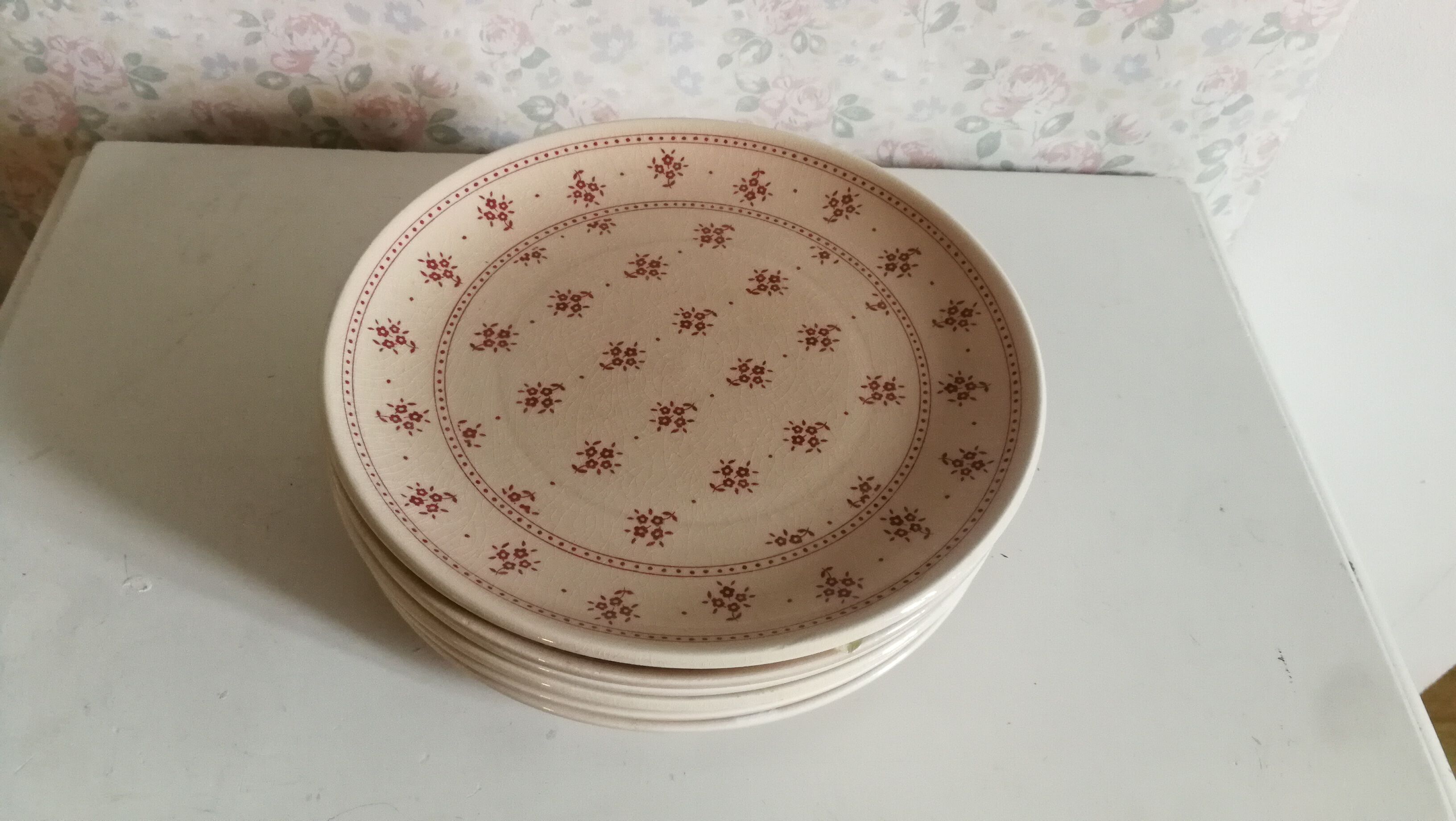 Plates to desserts, fine faience of Gien, flowers pink powder