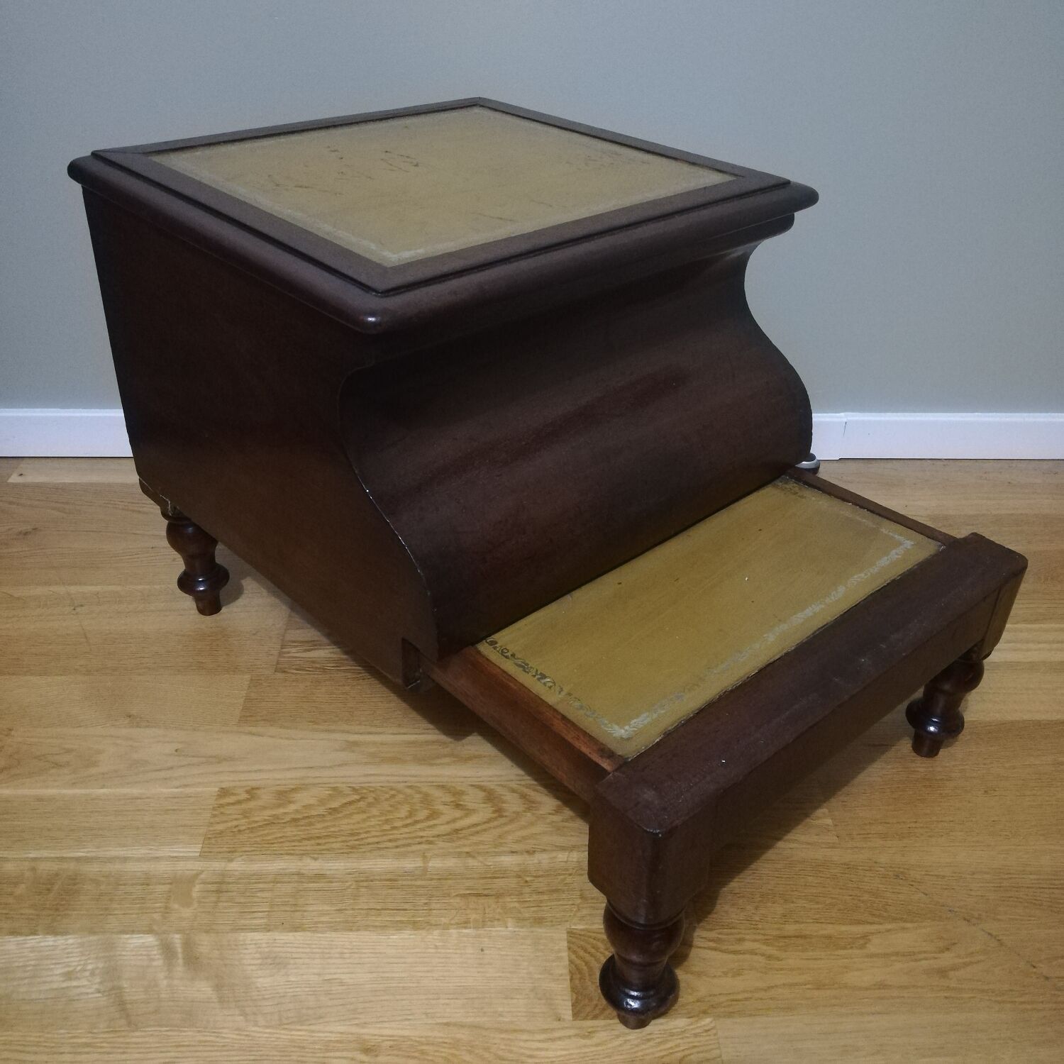 Old mahogany bookcase