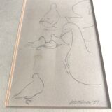 Pencil study signed by Peter Stevenson , Pigeons in NY, 1987