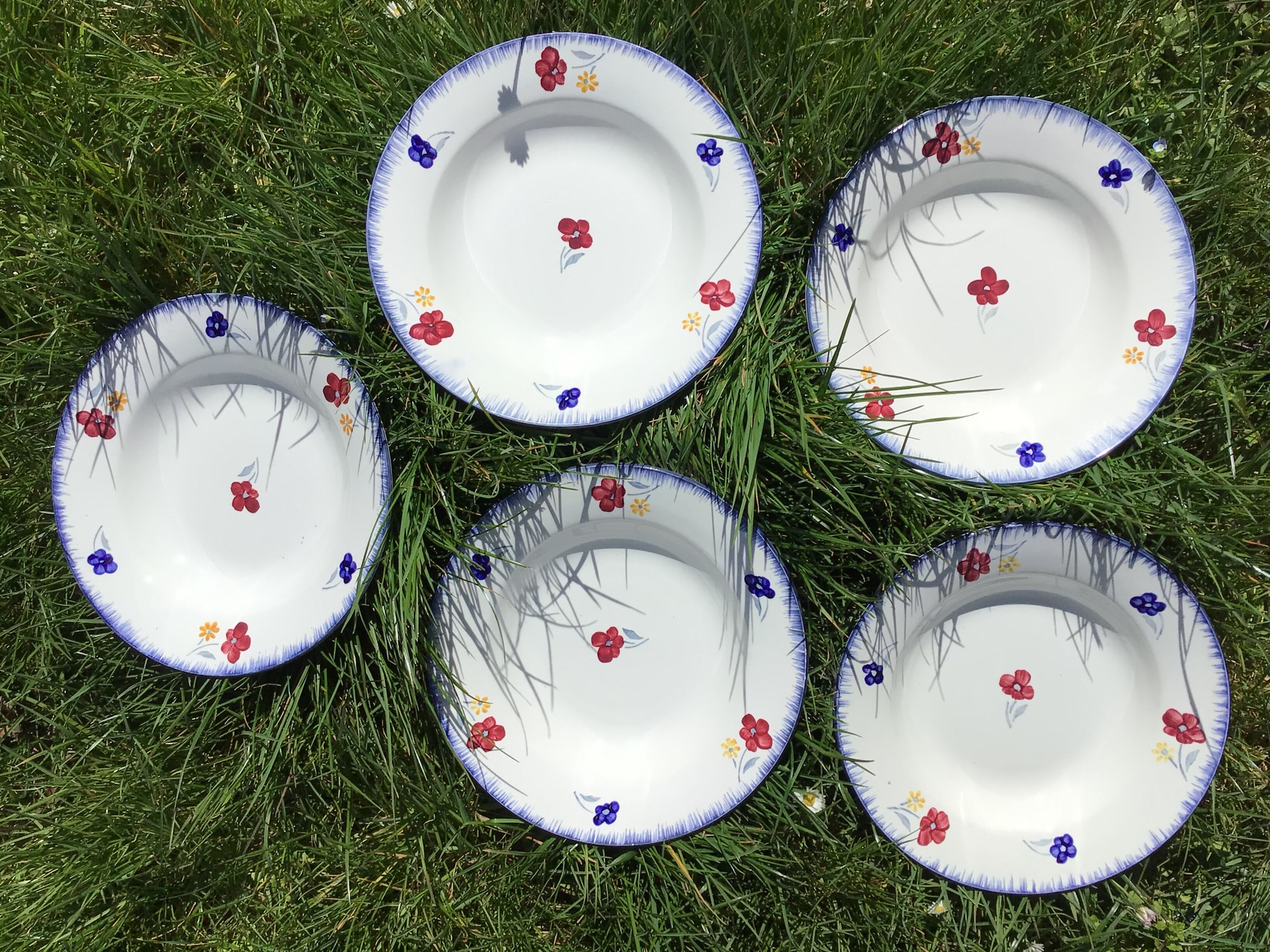 5 mary lou digoin blue edge hollow plates
