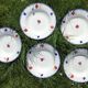 5 mary lou digoin blue edge hollow plates