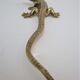 solid brass lizard gilded bronze 70s