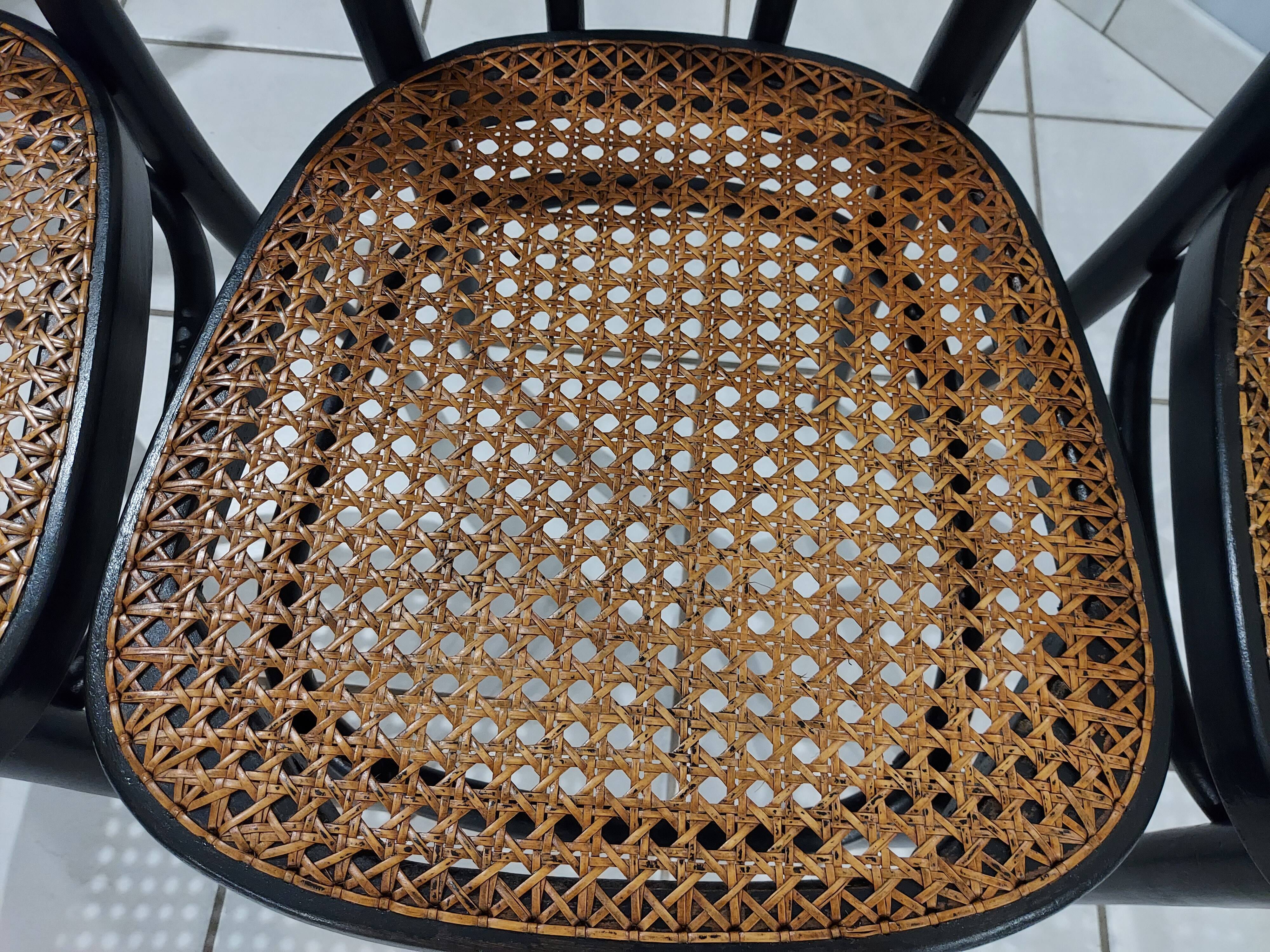 Suite of 4 Bistro chairs canned by ZPM for Thonet vintage 1950