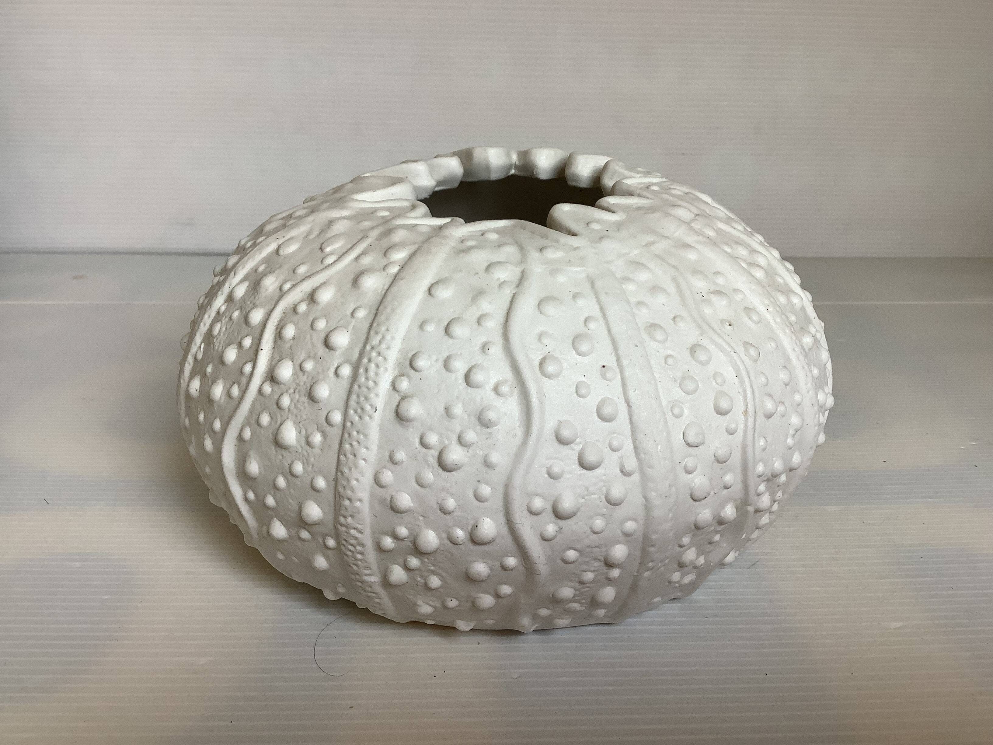 Vase en forme d oursin coquillage