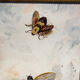 Oil painting