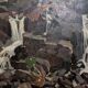 « Cascade cubiste » – Larson