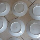 12 Plates pattern flowers in Limoges porcelain