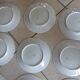 12 Plates pattern flowers in Limoges porcelain