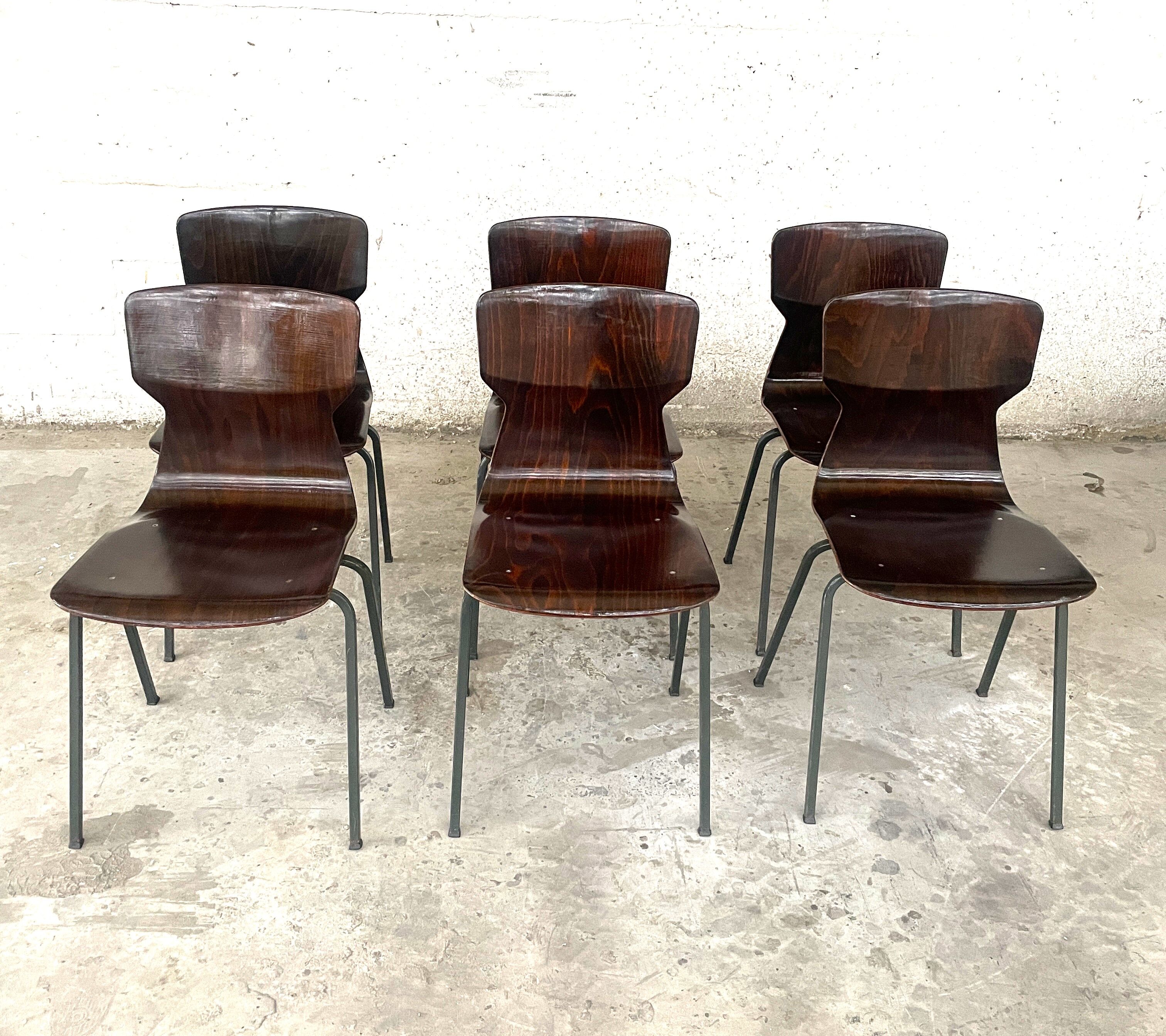 Set of 6 wenge wood chairs and green steel of gray