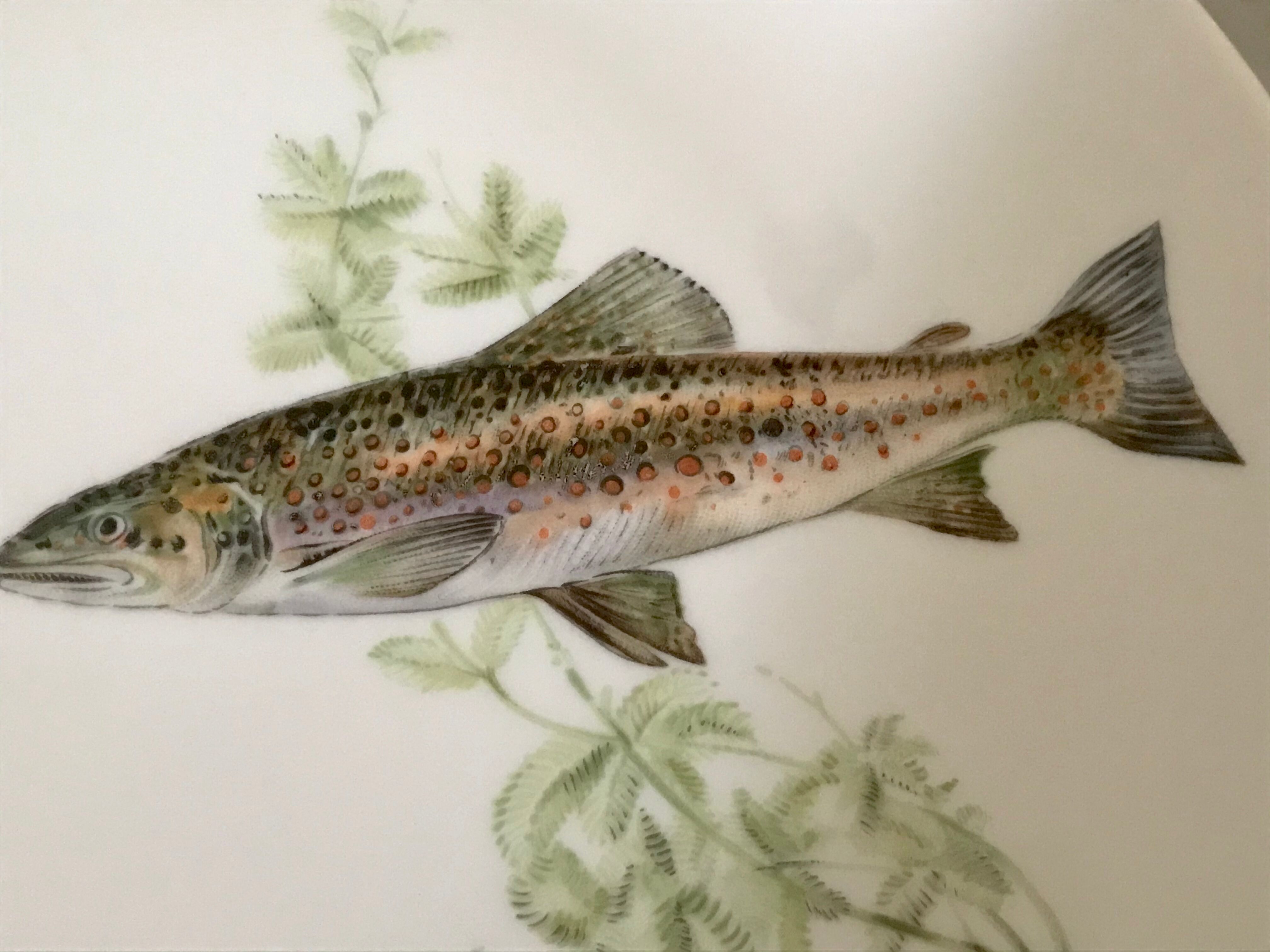 12 assiettes en porcelaine