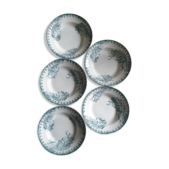 Lot 5 earthenware plates Iron Earth