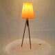 Scandinavian lamppost 1950