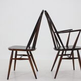 Set of 6 dining windsor chairs by Lucian Ercolani, italy, 1960
